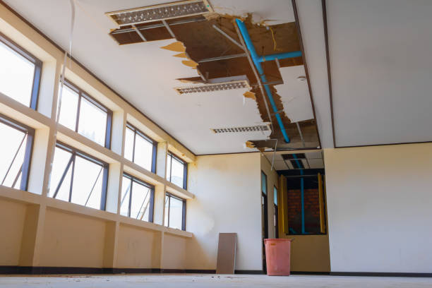 Best Water damage contractors near me  in Long Beach, MD