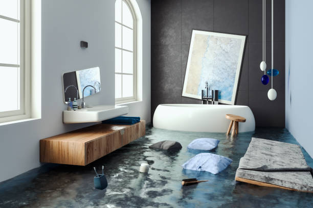 Best Mold removal after water damage  in Long Beach, MD