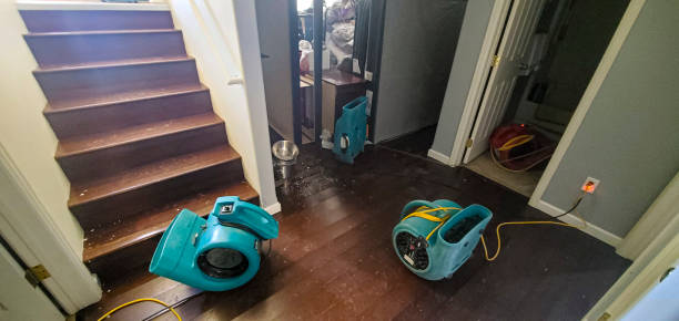 Best Local water damage restoration  in Long Beach, MD