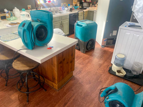Best Water damage restoration services  in Long Beach, MD
