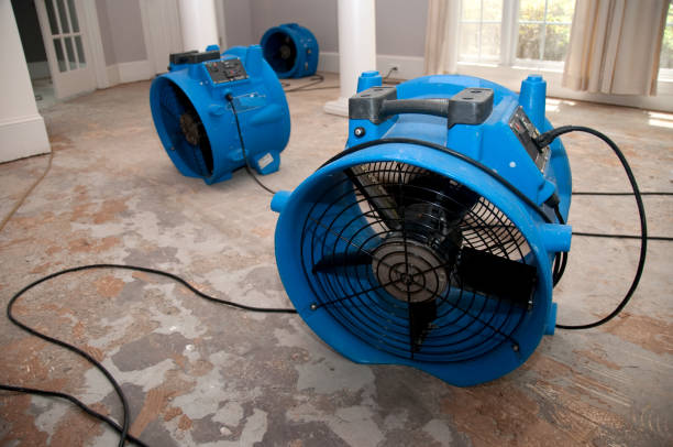 Best Water damage contractors near me  in Long Beach, MD