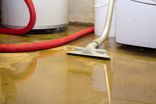 Best Ceiling water damage repair  in Long Beach, MD
