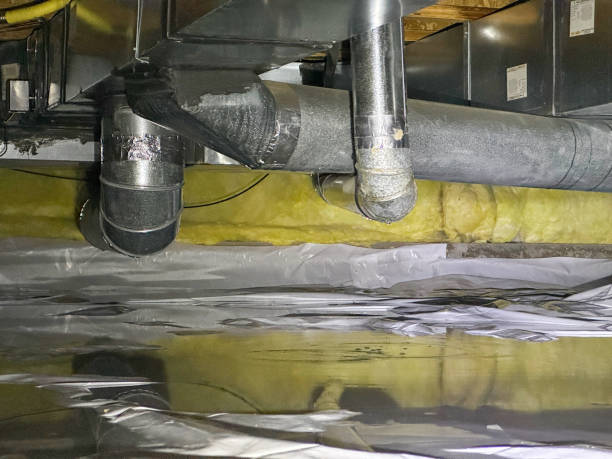Best Water damage restoration near me  in Long Beach, MD