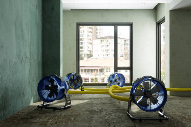 Best Water damage restoration services  in Long Beach, MD