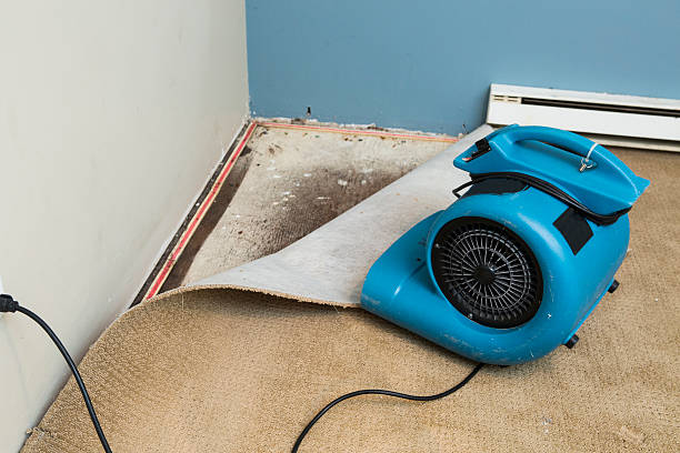 Best Mold removal after water damage  in Long Beach, MD